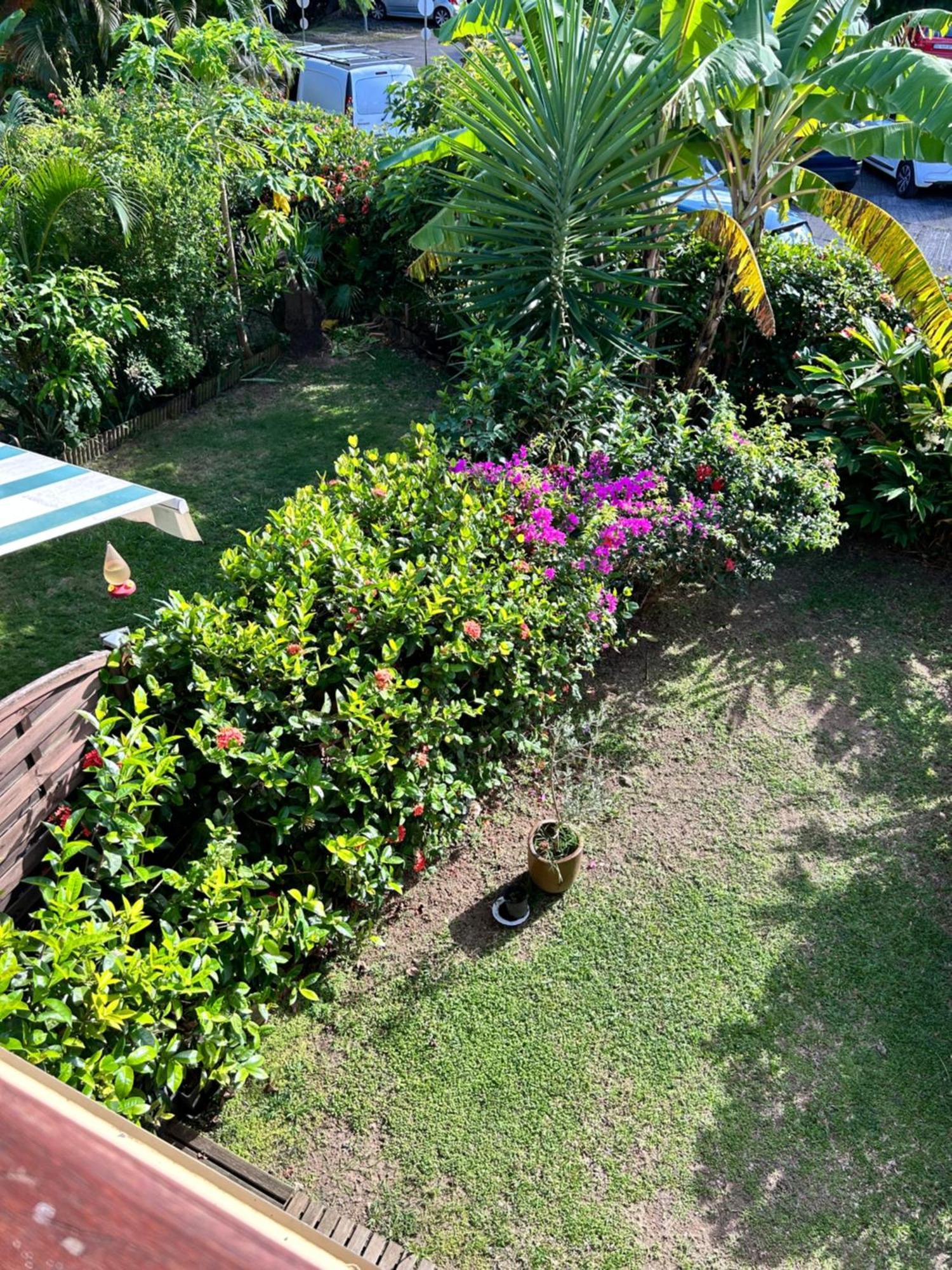 Calypso Diamant 972 Apartamento Le Diamant Exterior foto